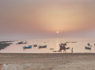 save fish wealth of coastal belt save fish wealth of coastal belt