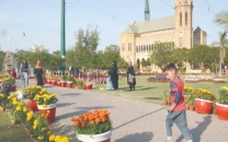 marigold show opens marigold show opens