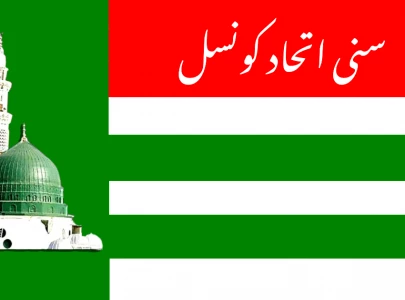 sic becomes second largest party in na