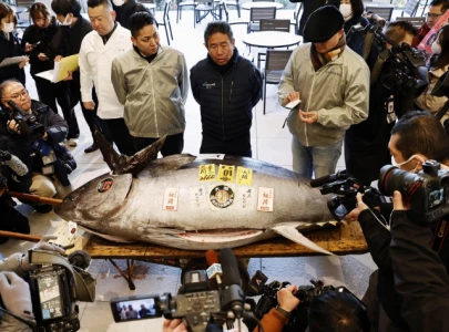 sushi chefs buy motorcycle sized tuna for 1 3 million at tokyo auction