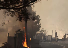 paris hilton tom hanks and others lose homes as la fires spread