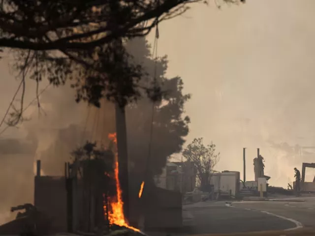 paris hilton tom hanks and others lose homes as la fires spread