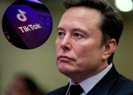 tiktok denies reports of sale to elon musk calls it pure fiction