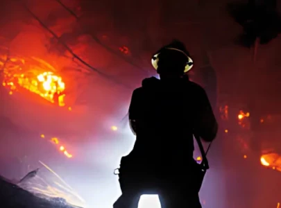 how did wildfires impact la in 2025