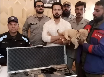 tiktoker rajab butt sentenced for keeping lion cub