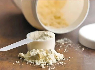 lead cadmium found in protein powders highest in plant based chocolate types