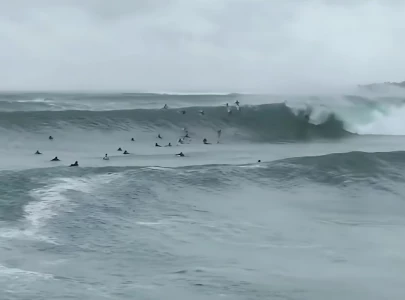 cyclone alfred shuts gold coast airport threatens millions in australia