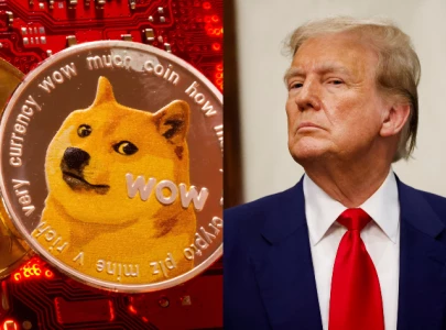 bitcoin drops below 80 000 as 1 trillion crypto crash deepens under trump bitcoin drops below 80 000 as 1 trillion crypto crash deepens under trump