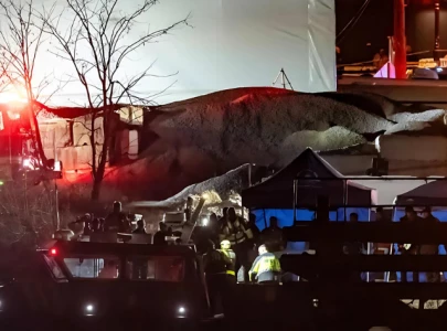 us figure skaters among victims of potomac river plane crash