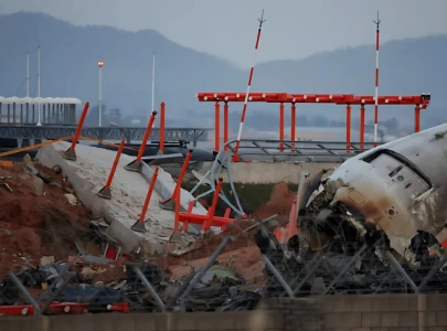 investigation into jeju air crash reveals bird feathers found in engines