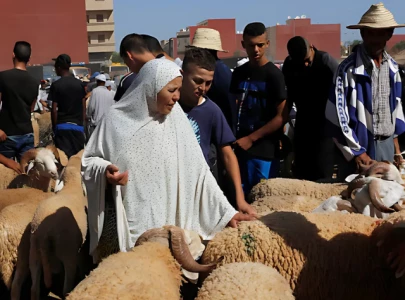 morocco asks citizens not to slaughter sheep on eid al adha morocco asks citizens not to slaughter sheep on eid al adha