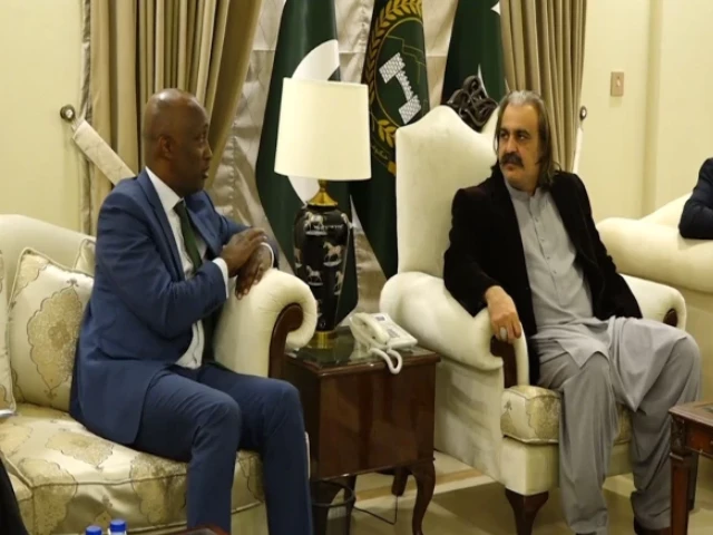 k p cm ali amin gandapur meets un team k p cm ali amin gandapur meets un team