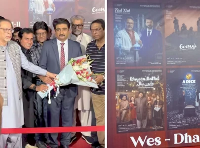 sindh s artists deserve federal recognition