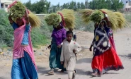 rural women in suburbs of hyderabad photo express
