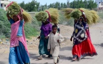biogas untapped solution to rural energy biogas untapped solution to rural energy
