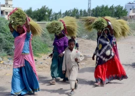 matiari village women get kits to support livelihood