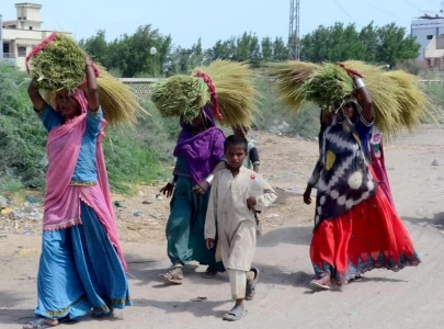 rural women learn how to start small business rural women learn how to start small business