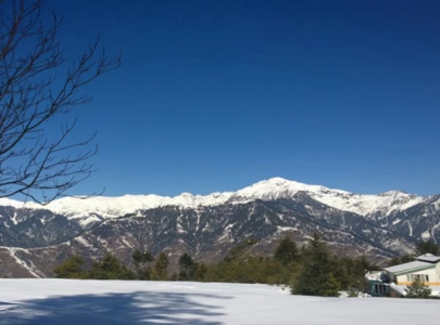 snow stranded horsemen rescued