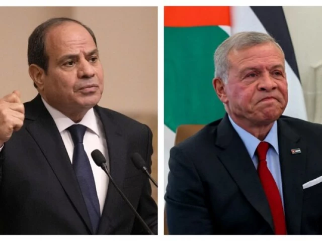 el sisi and king abdullah ii reaffirmed their united stance on gaza s reconstruction during a meeting on wednesday photo arab news el sisi and king abdullah ii reaffirmed their united stance on gaza s reconstruction during a meeting on wednesday photo arab news