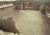 in the gaze of a 4 000 year old monkey in the gaze of a 4 000 year old monkey