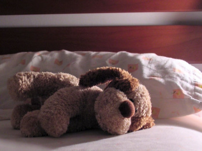 caught napping can we be awake and asleep at the same time