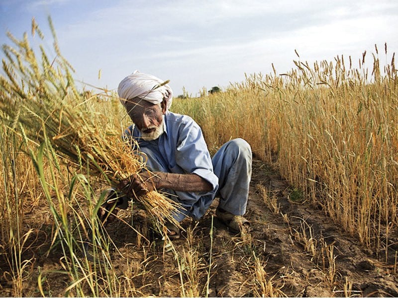 Farmers quitting amidst high inflation, climate change threat