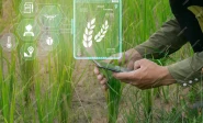 prioritise agri tech energy fields