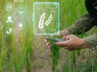 mechanisation key to food security amid shrinking farmland