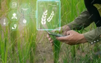 punjab launches rs36b climate smart farm subsidy