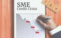 govt asks state bank to address sme credit crisis govt asks state bank to address sme credit crisis