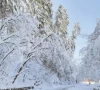 a man walks on a snow covered road in abbotabad photo ppi