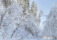 a man walks on a snow covered road in abbotabad photo ppi