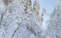 massive relief launched as frigid weather sets in