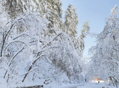 massive relief launched as frigid weather sets in