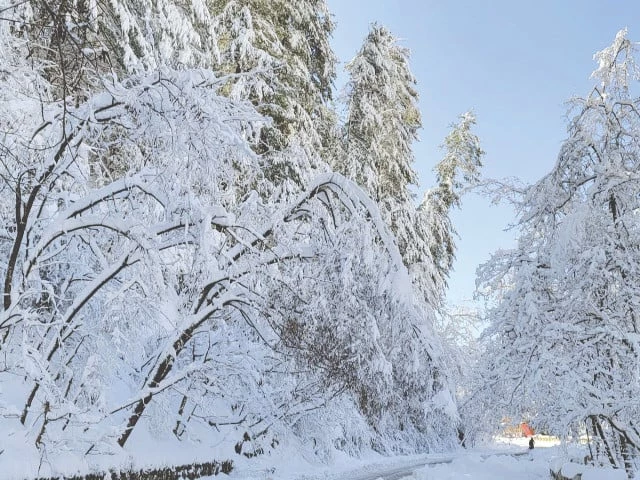 a man walks on a snow covered road in abbotabad photo ppi a man walks on a snow covered road in abbotabad photo ppi