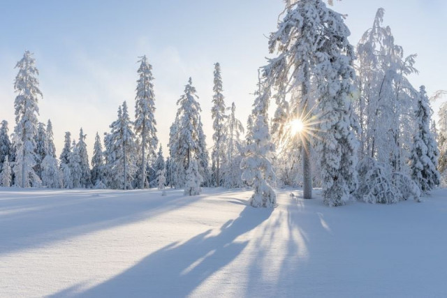 winter is expected strong in usa due to la nina system photo pixabay winter is expected strong in usa due to la nina system photo pixabay