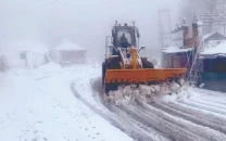 sub zero cold leaves shangla freezing