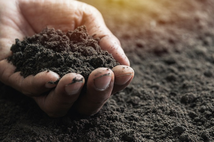 deteriorating soil health threatens food security