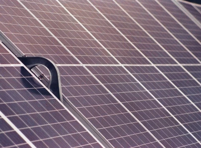 green dilemma china s solar boom hurt birds says study green dilemma china s solar boom hurt birds says study