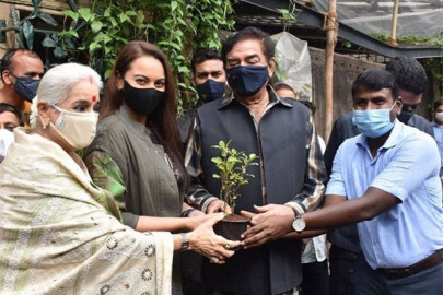 sonakshi sinha adopts a tree