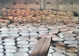 1 374 metric tons of illegally hoarded wheat seized in punjab 1 374 metric tons of illegally hoarded wheat seized in punjab