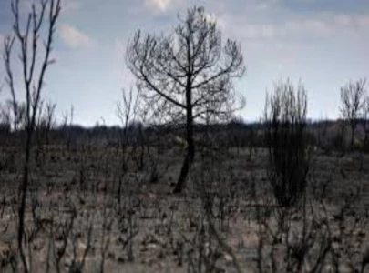 spain heatwave was most intense on record spain heatwave was most intense on record