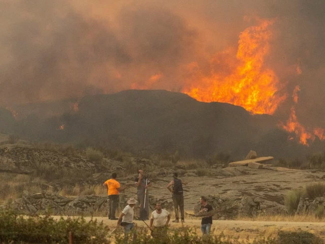 locals look at the flames as they fight against them near formariz during a wildfire in zamora province spain july 29 2026 photo reuters locals look at the flames as they fight against them near formariz during a wildfire in zamora province spain july 29 2026 photo reuters