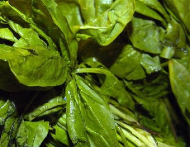 expert stresses nutritional benefits of spinach expert stresses nutritional benefits of spinach