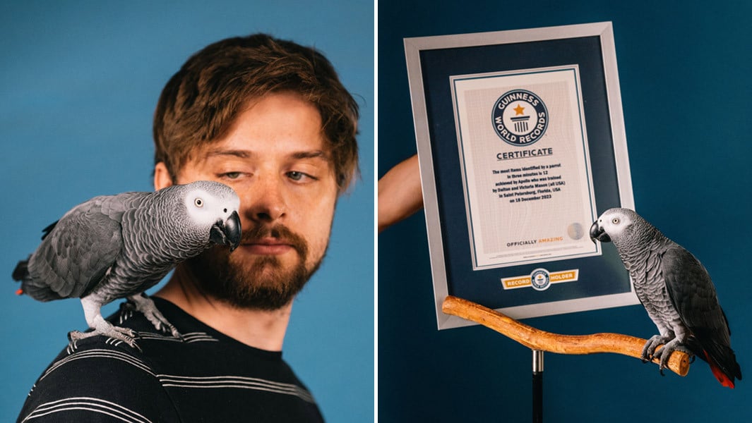 Guinness World Records