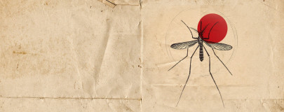 a world without malaria