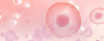 the pitfalls of keeping it in the family consanguineous marriage disability