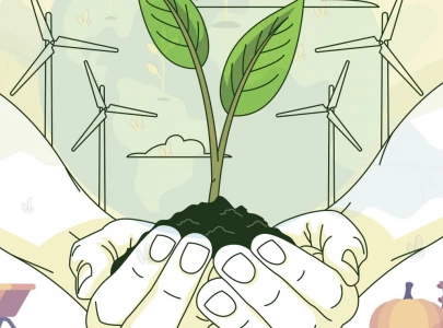 growing for a greener future sustainable agriculture brews in pakistan growing for a greener future sustainable agriculture brews in pakistan