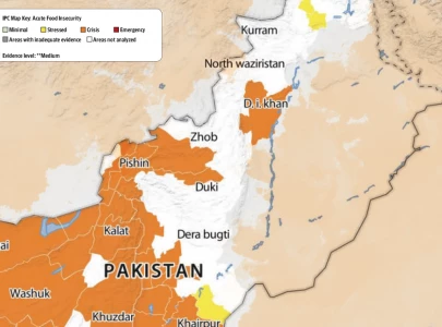 pakistan s stunting conundrum pakistan s stunting conundrum