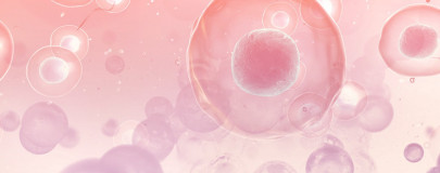 catching up to the stem cell revolution catching up to the stem cell revolution